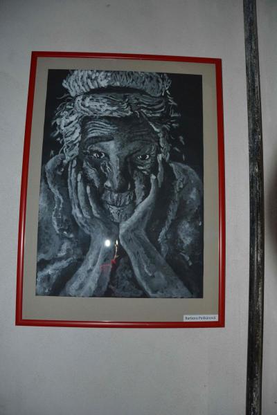 obrázek
