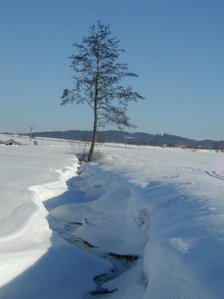obrázek