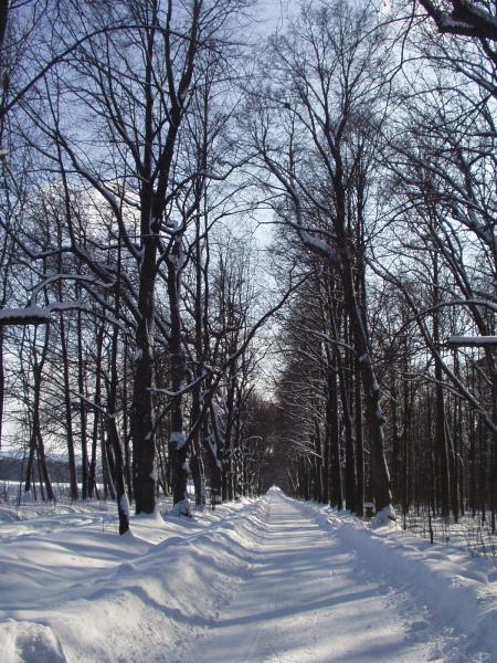 obrázek