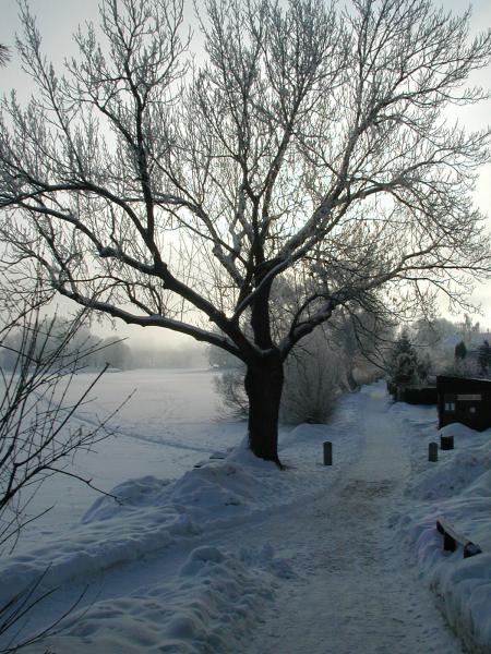 obrázek