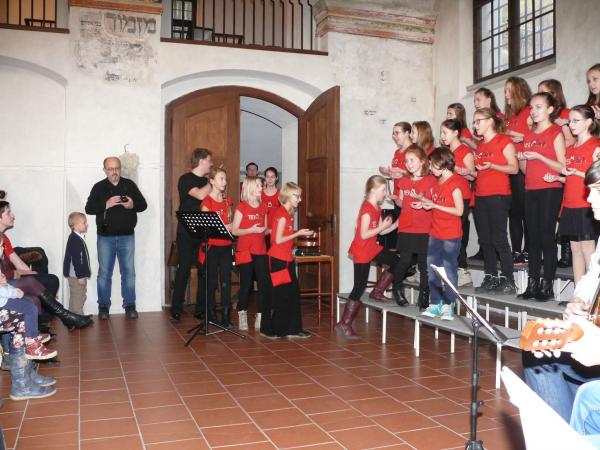obrázek