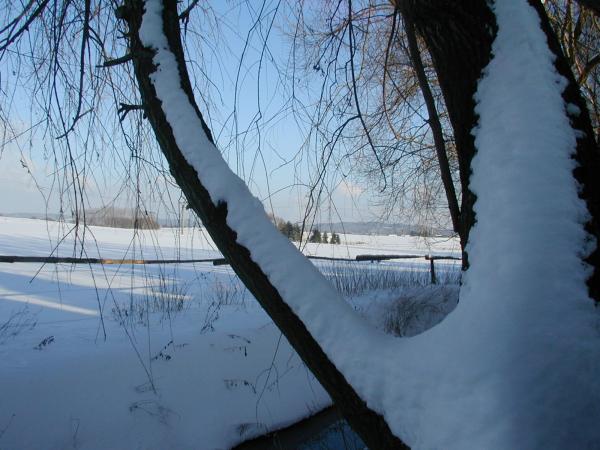obrázek