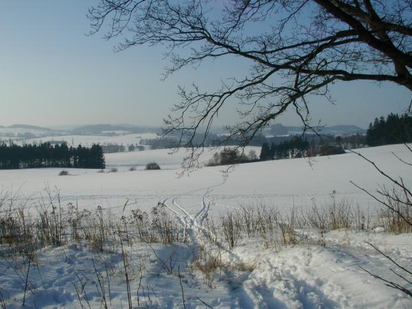 obrázek