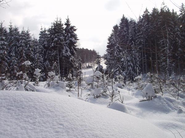 obrázek